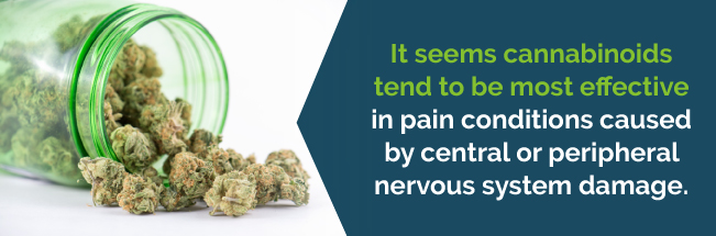 cannabis and pain