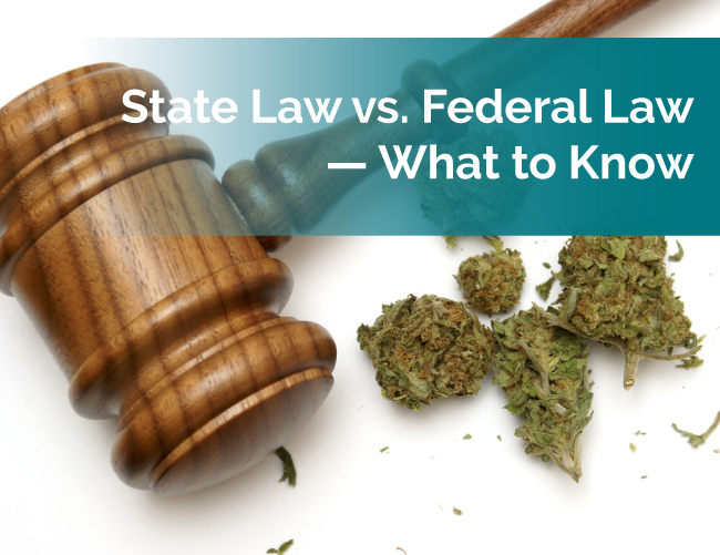 marijuana state and federal laws