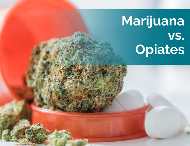 marijuana vs opiates