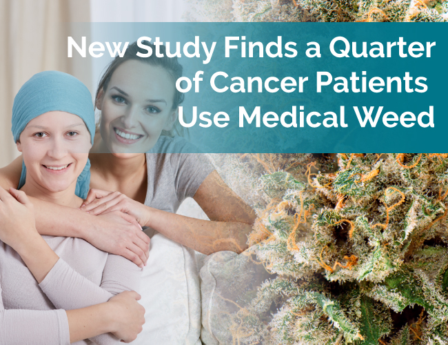 cancer marijuana study